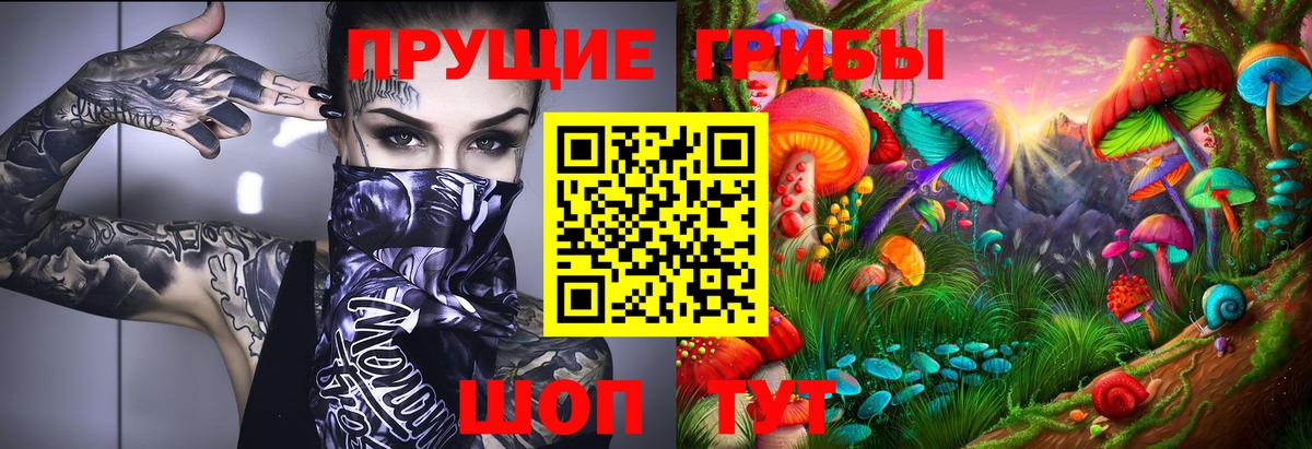 Галлюциногенные грибы Cubensis  купить   Отрадное  Галлюциногенные грибы MAGIC MUSHROOMS  Вход с VPN 